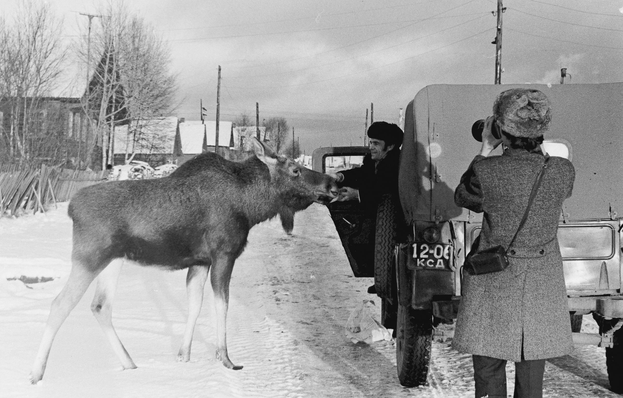 Известный журналист в Карелии показал удивительные фото 70-х годов Известный журналист в Карелии показал удивительные фото 70-х годов