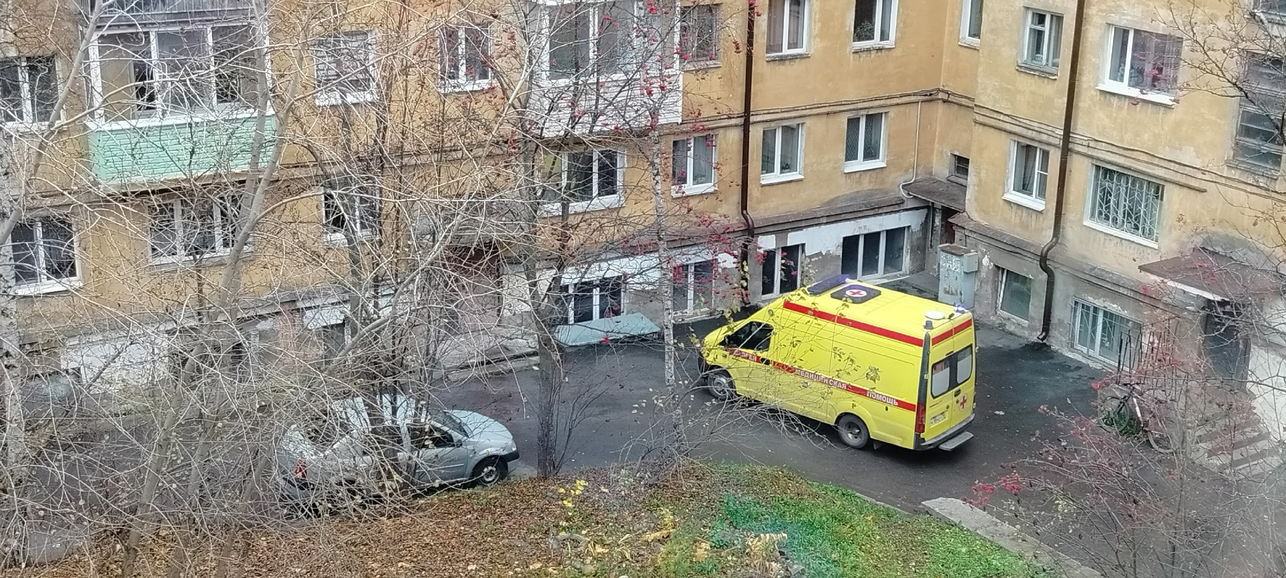 «Что-то случилось»: на оборвавшийся крик в центре Петрозаводска вызвали «скорую» «Что-то случилось»: на оборвавшийся крик в центре Петрозаводска вызвали «скорую»