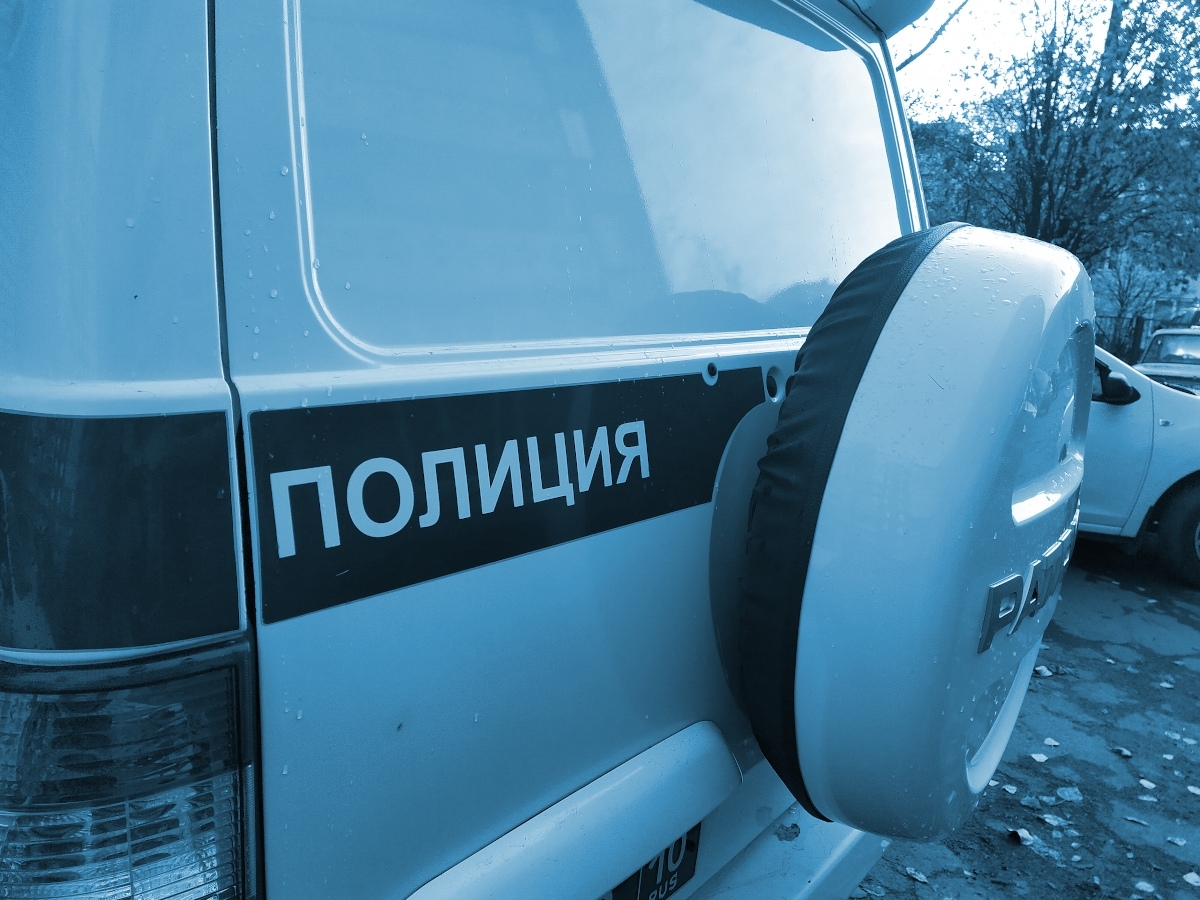 Ранее судимая за кражи петрозаводчанка взялась за старое и дважды наведалась в сетевой магазин