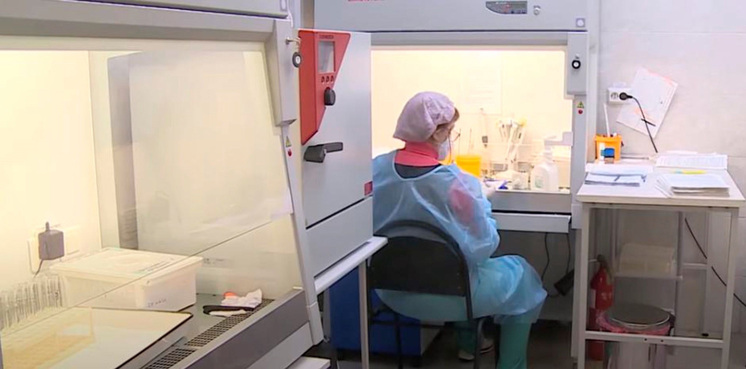 Опасно заразных клещей в Карелии стало больше: специалисты проверили всех попавших в лабораторию особей