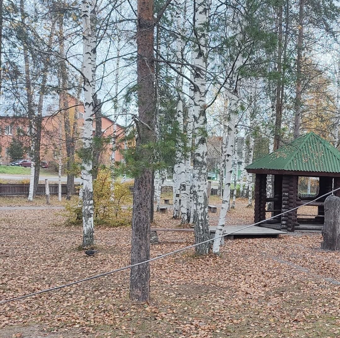 Жительницу Карелии обвинили в обустройстве наркотических «закладок»