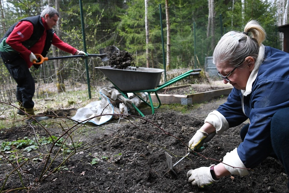 В Карелии расширили программу «Арктический гектар»