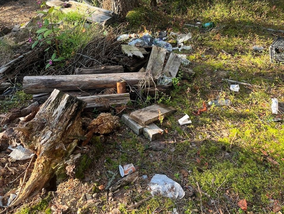 Лес - не помойка: Минприроды просит граждан соблюдать порядок