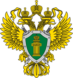 Власти Питкяранты не могут убрать мусор у спортплощадки