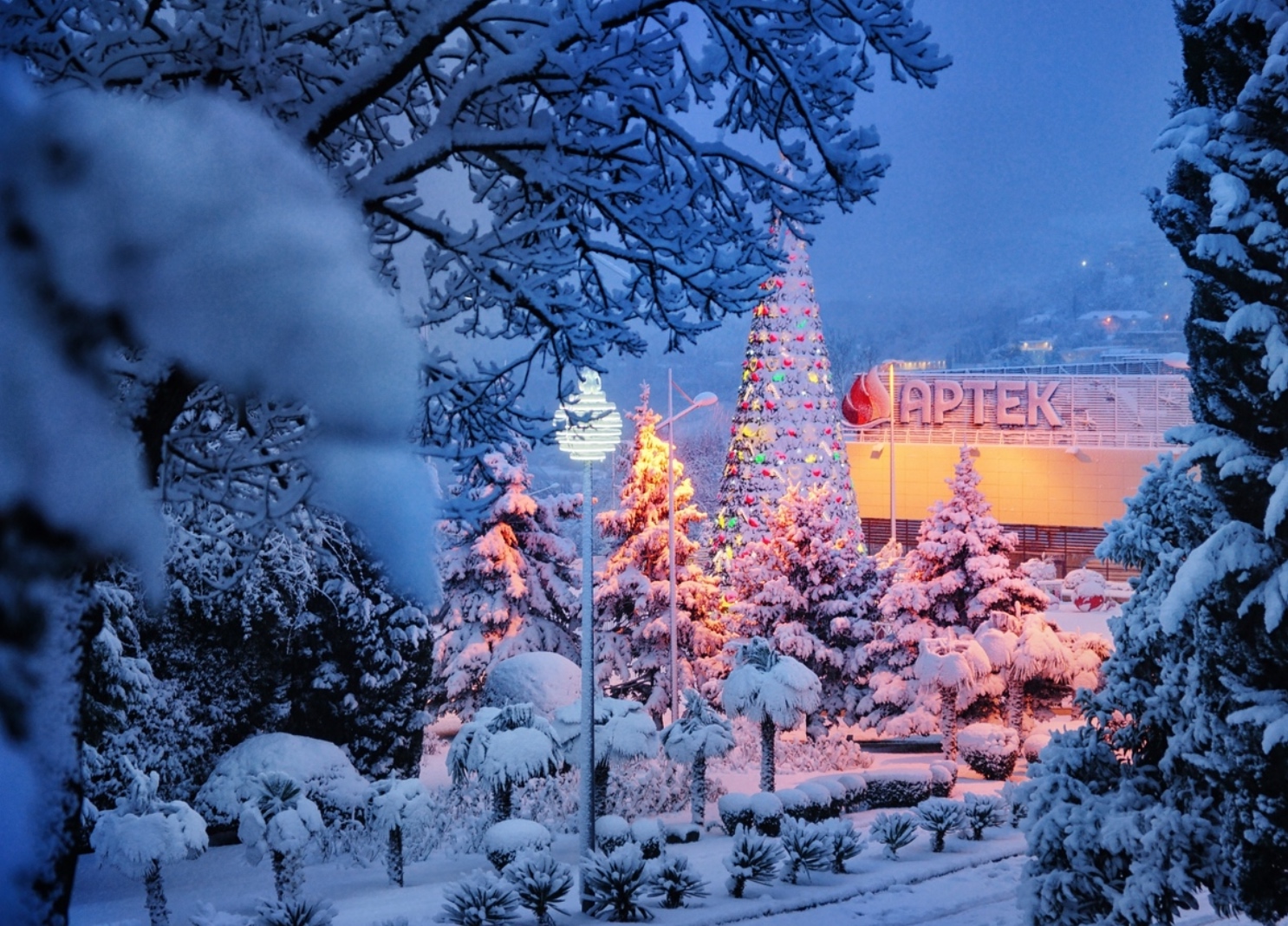 Зимние смены в «Артеке» открыты для подачи заявок Зимние смены в «Артеке» открыты для подачи заявок