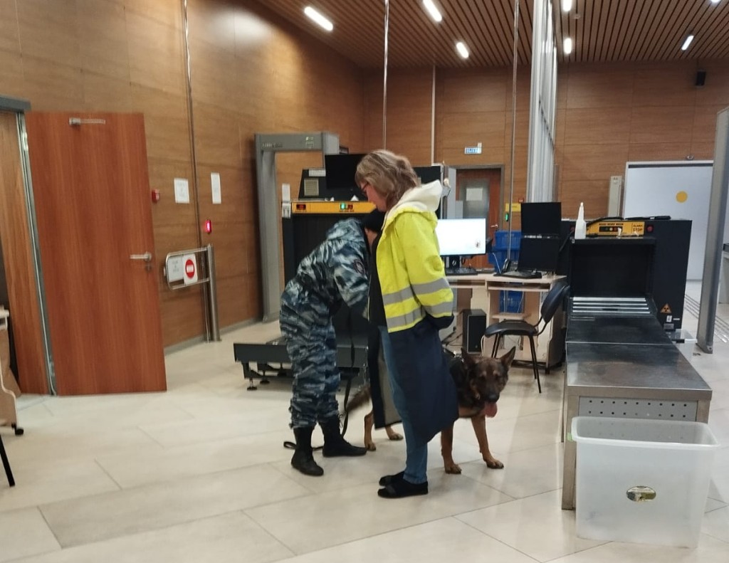 Служебная собака проверяла безопасность в петрозаводском аэропорту