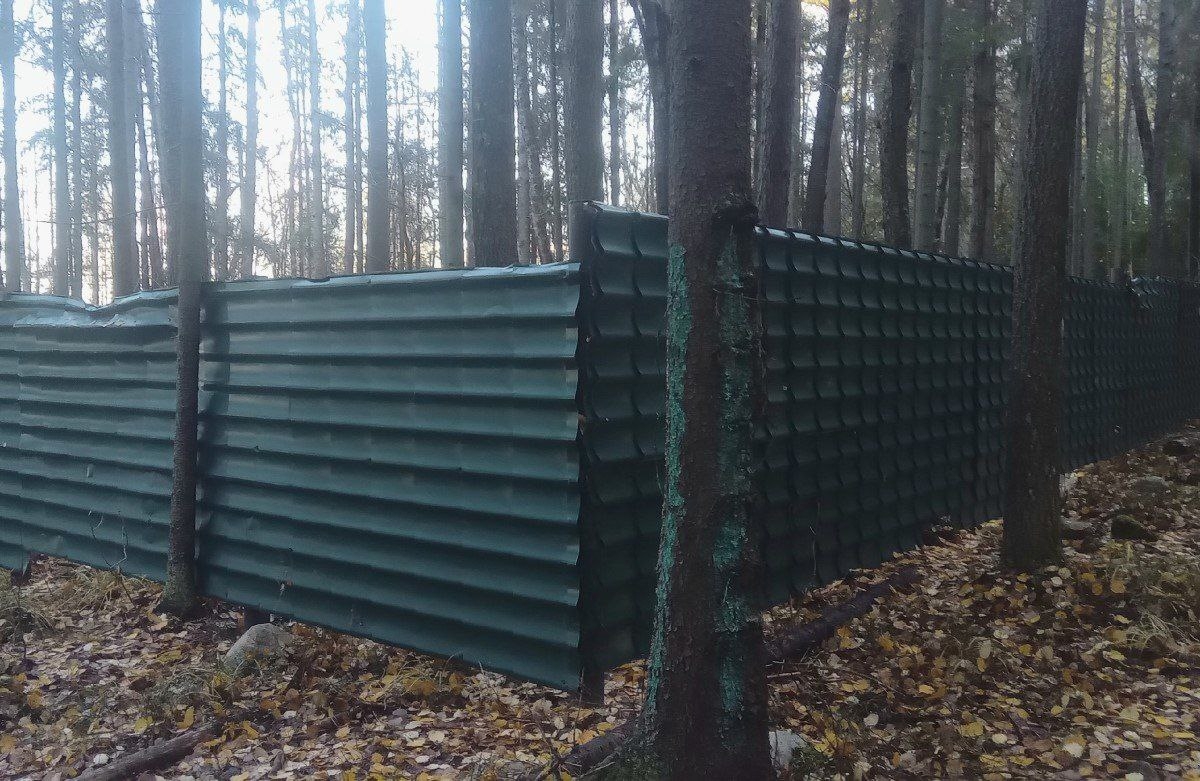 В Сайнаволоке забор перекрыл горожанам путь к озеру