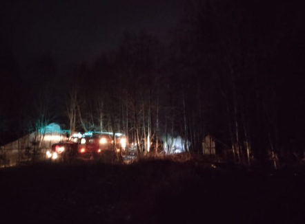 Пожарные оперативно ликвидировали возгорание в Эссойле