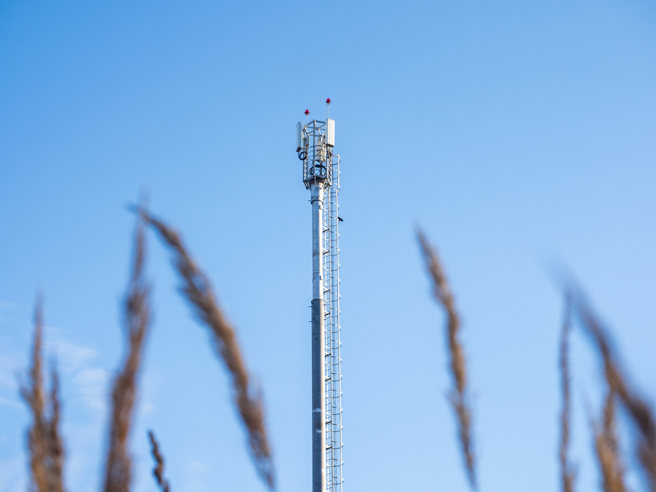 Мобильная связь и интернет 4G появились в карельских поселках Тойвола и Верхнее Волозеро