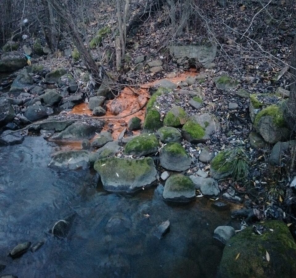 Жуткая дрянь текла в Неглинку в Петрозаводске