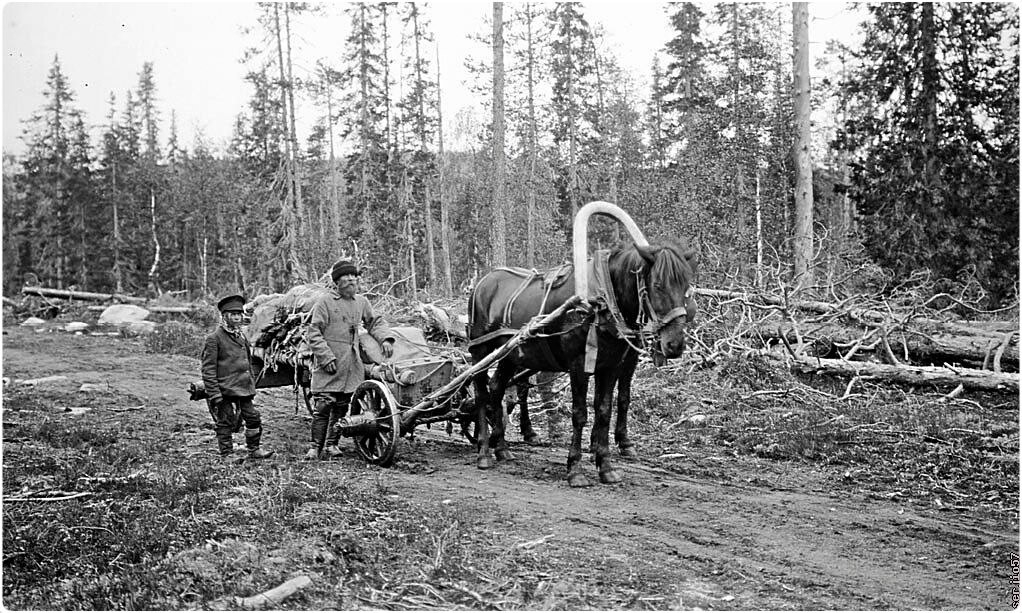 Узнали, откуда пошло выражение «все на мази»