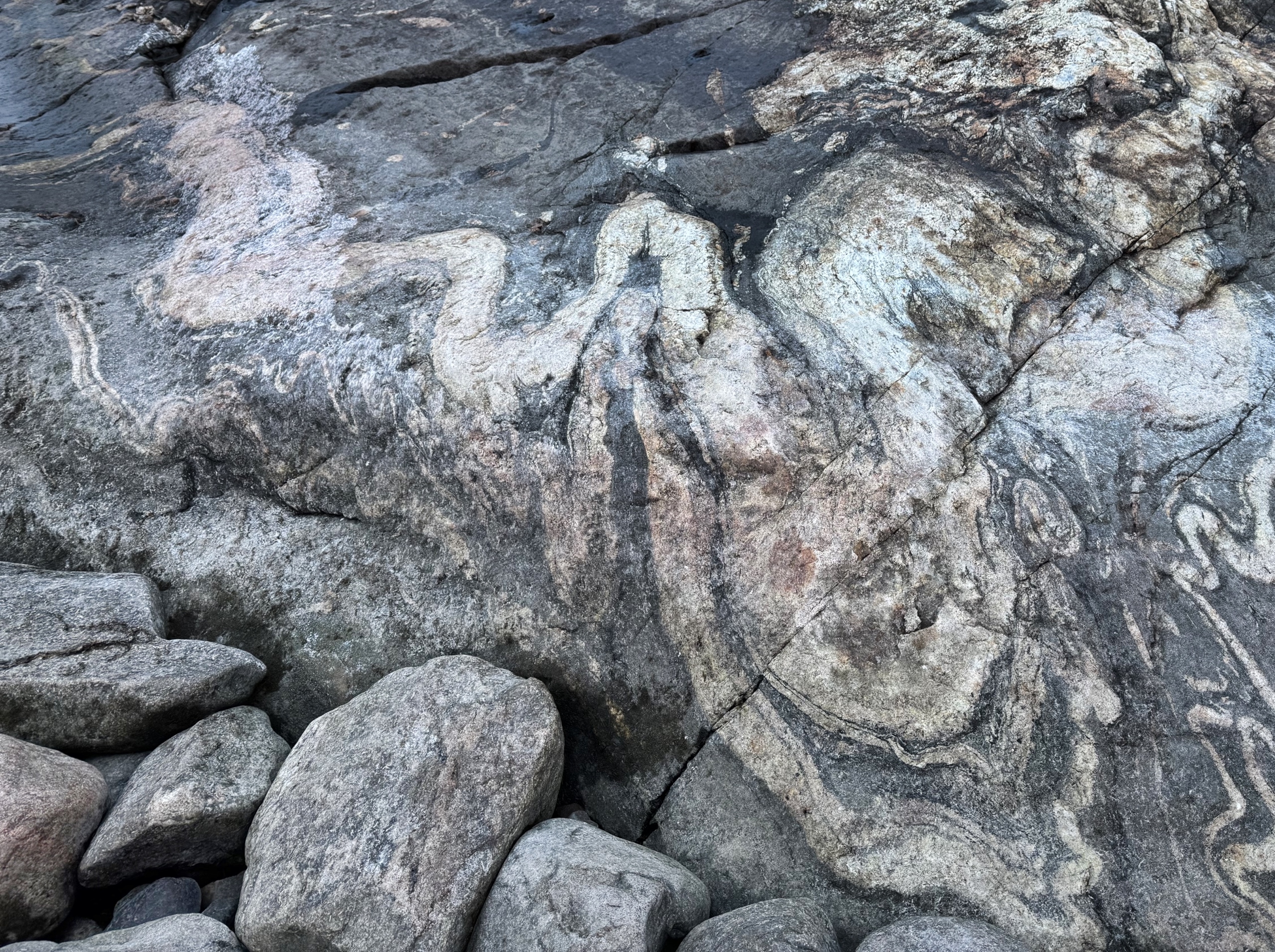 Изображение дракона обнаружили на мысе в Карелии