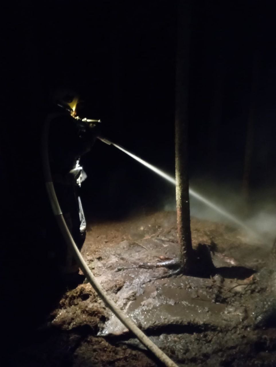 Ночью в Карелии горел лес за дачным кооперативом с красивым названием