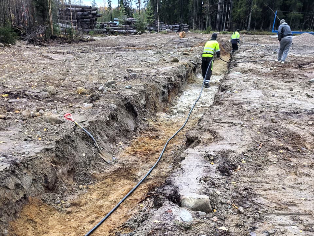 Новое деревообрабатывающее производство создадут в Карелии