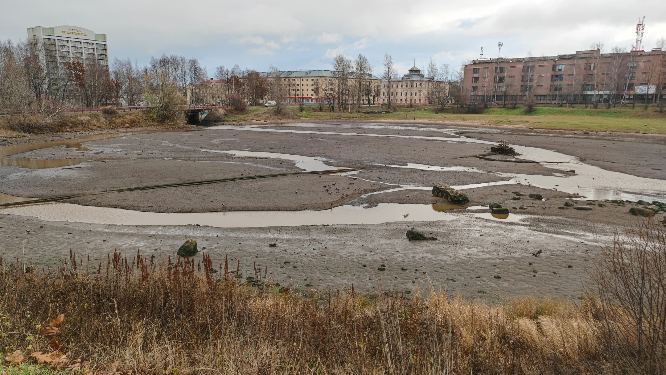 Лососинка обмелела в Петрозаводске