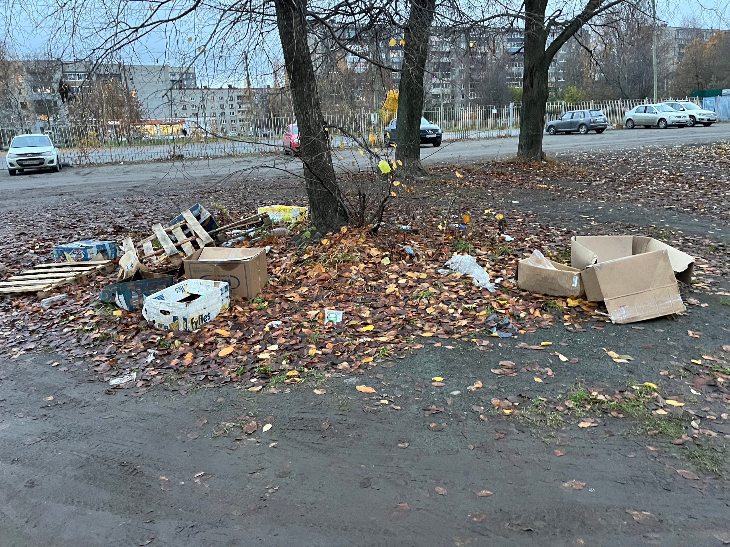 Ярмарка в Петрозаводске оставила после себя груды мусора