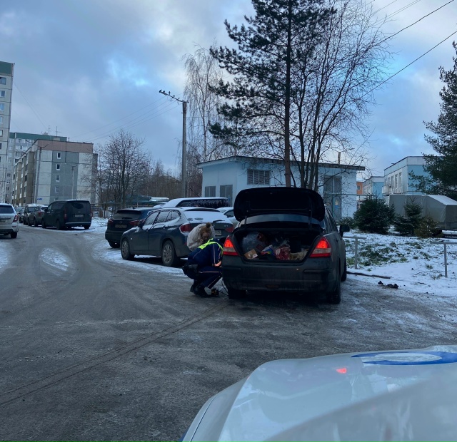 Автоинспекторы Петрозаводска пришли на помощь девушке-водителю