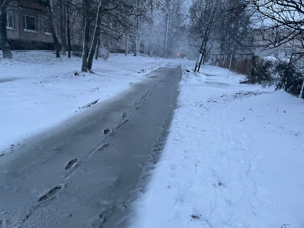 Погода собрала свои худшие приколы и напугает ими Карелию 16 ноября