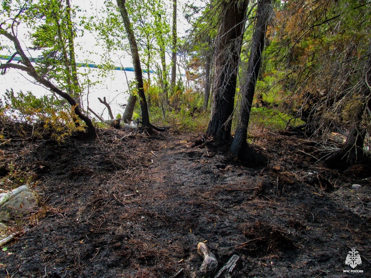 Спустя два года наказали рыбака, устроившего пожар в лесу на севере Карелии