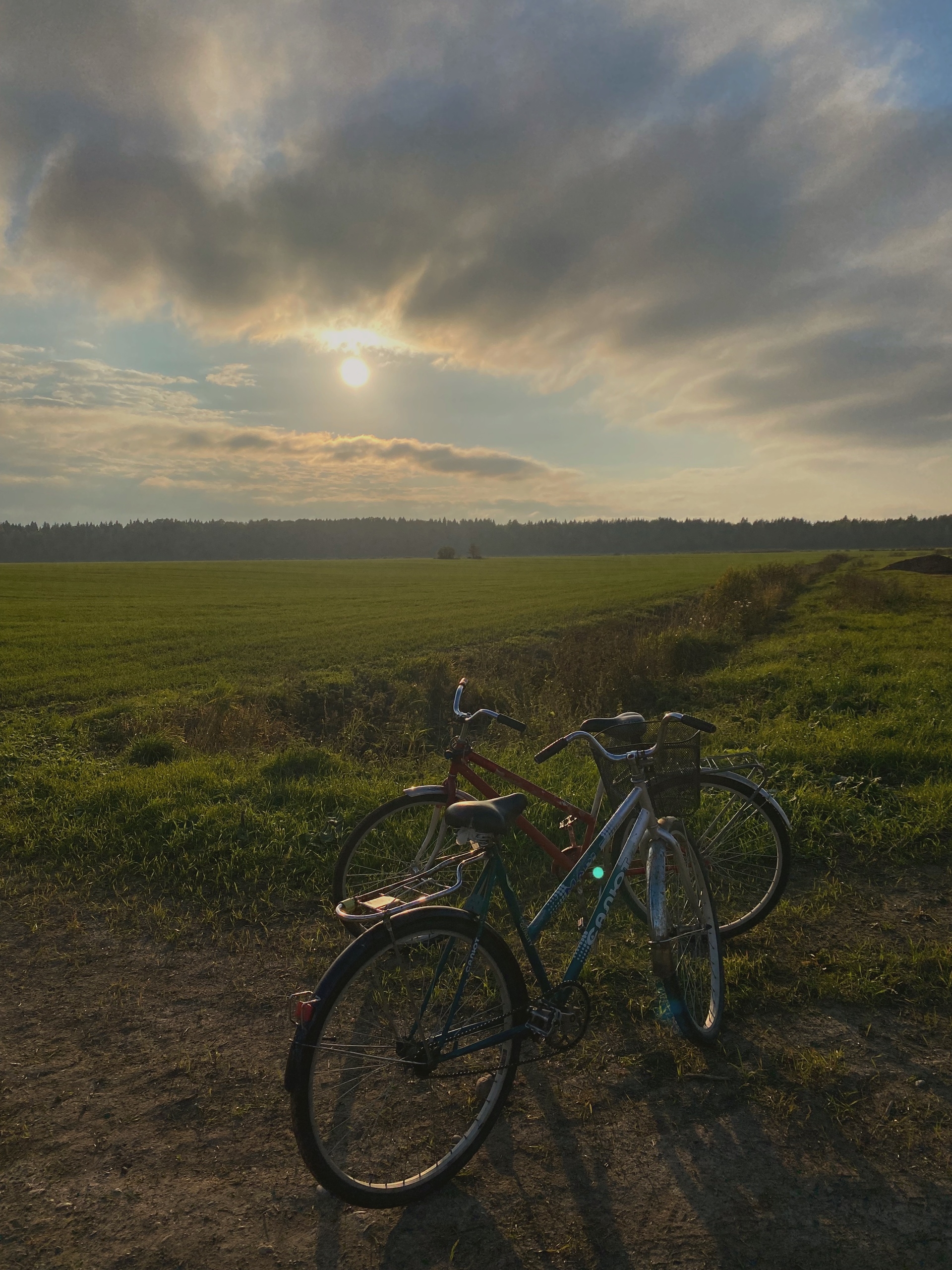 В День народного единства дождь в Карелии взял выходной