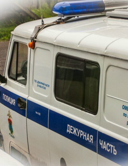 Рассерженный житель Карелии приложил гостью кочергой