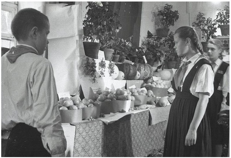 В сети вспомнили, как проходил праздник урожая в Советских школах