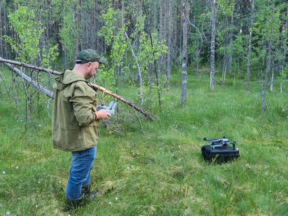 Карелия закупила 42 беспилотника для охраны лесов от пожаров