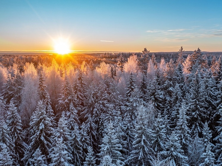 Вильфанд: зима в России будет холоднее предыдущей