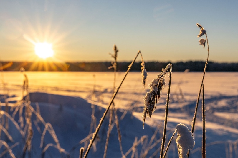 В новогоднюю ночь в России будет минусовая температура и снег