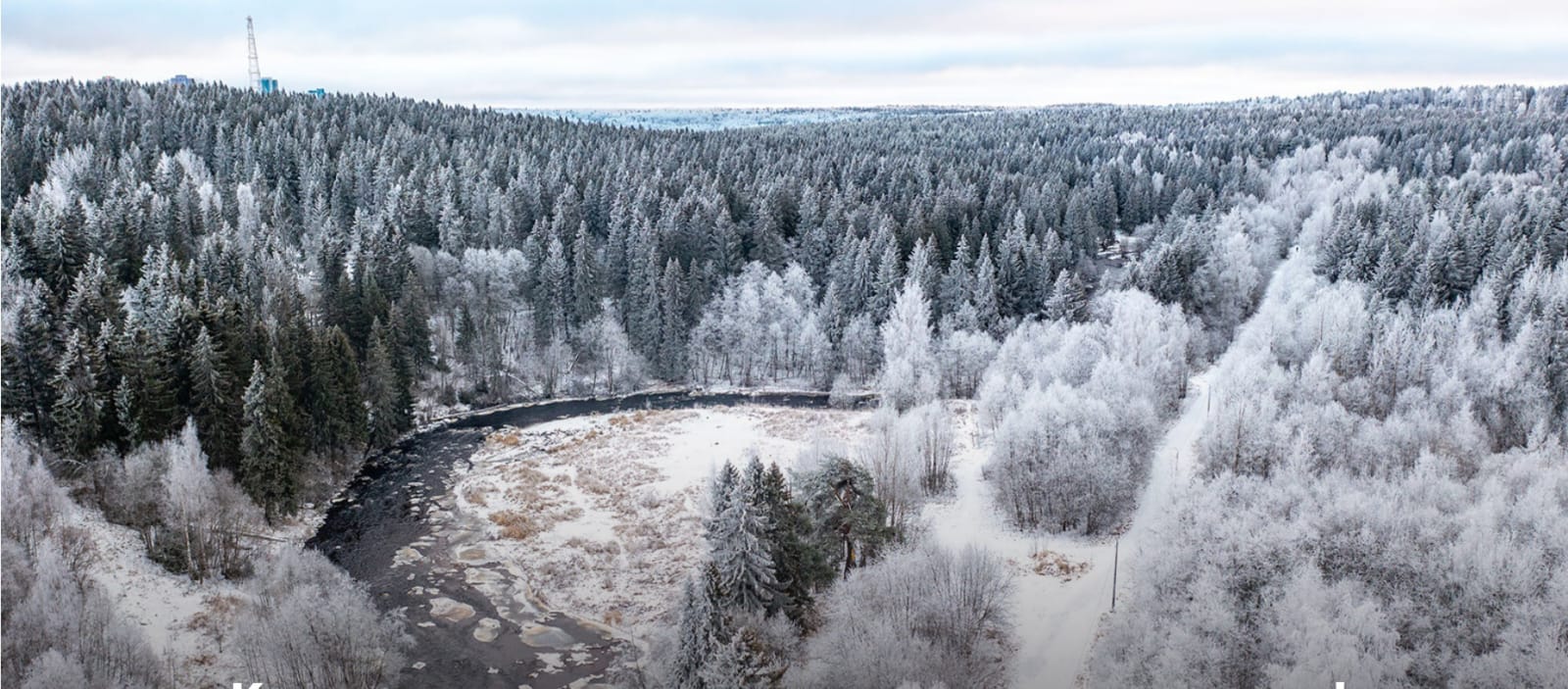 Жители Петрозаводска проголосовали против застройки на Кургане и прилегающих к нему парков