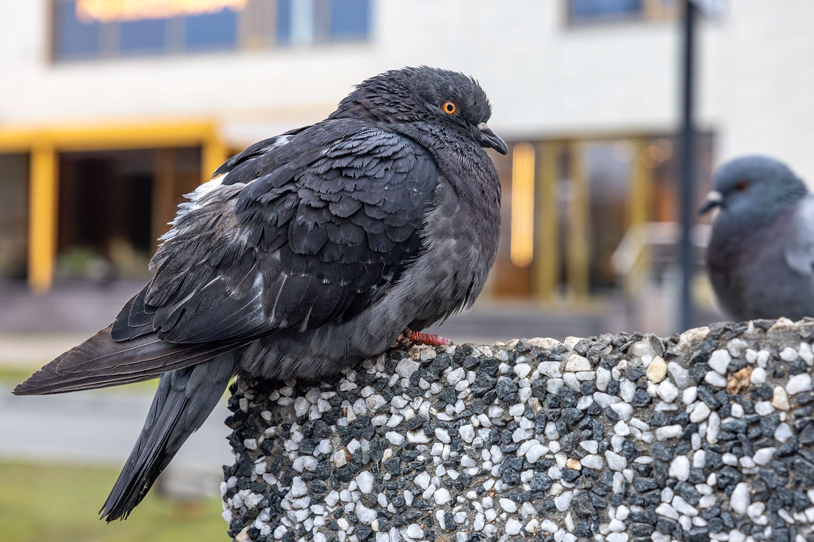 Синоптики Карелии рассказали, какой будет погода до конца ноября и в первую неделю декабря