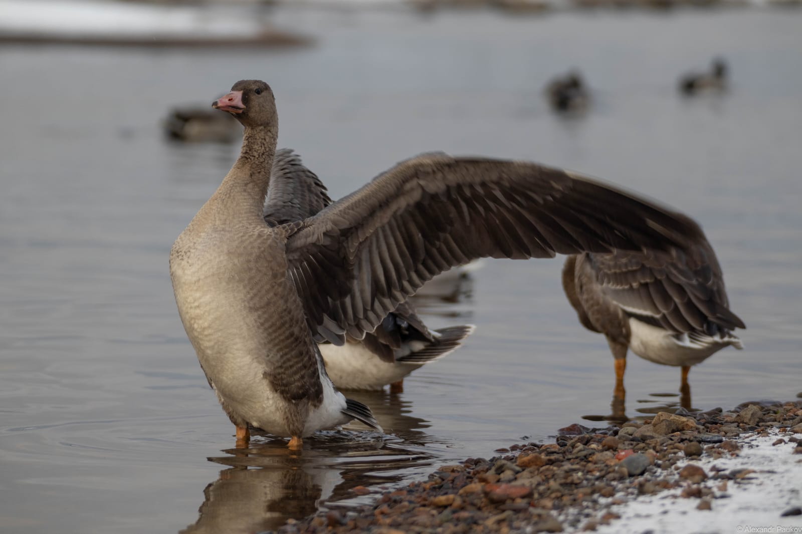 Откат к поздней осени: синоптики рассказали о погоде в Карелии на вторник