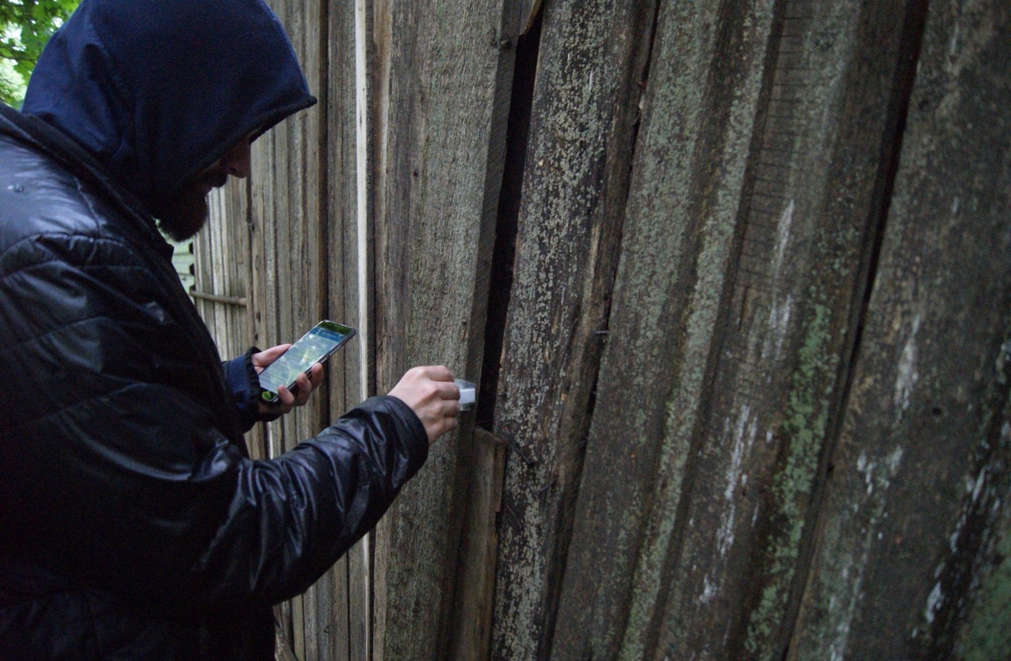 Житель Сегежи высказался о проблеме распространения наркотиков в Карелии