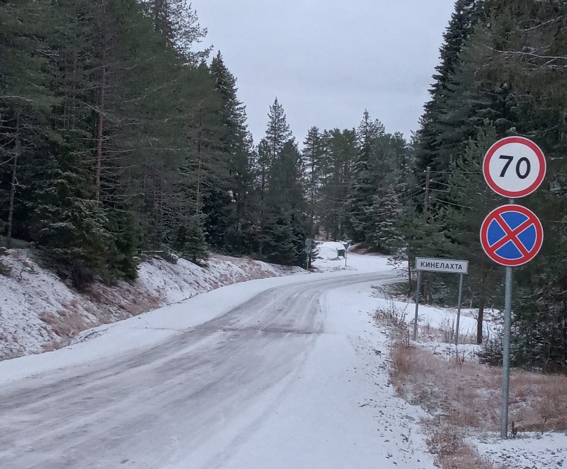 Крутые повороты: водители пожаловались на опасную дорогу до Ведлозера