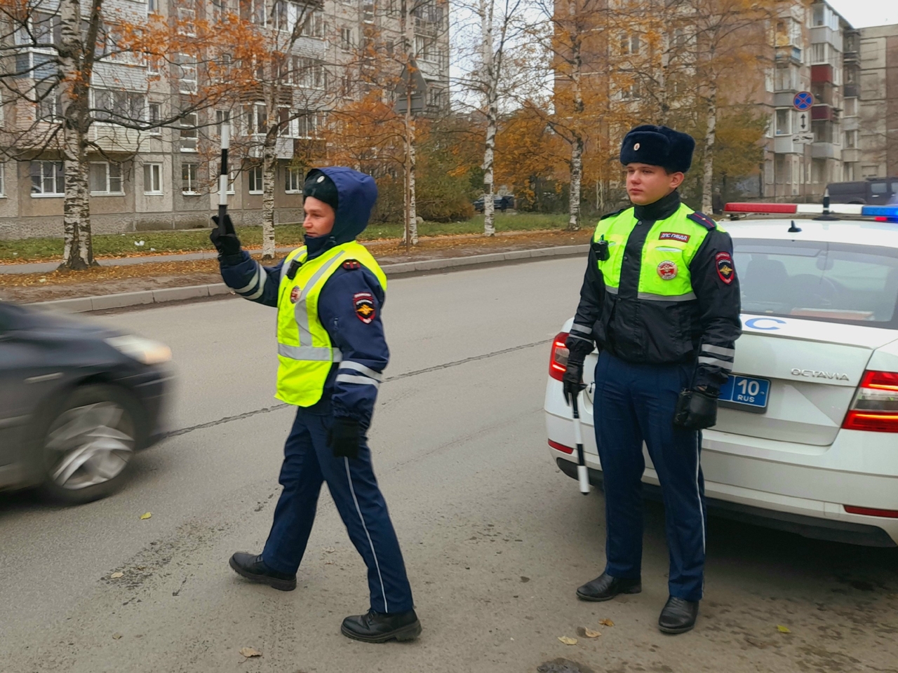 Водителей массово проверят на трезвость в Петрозаводске