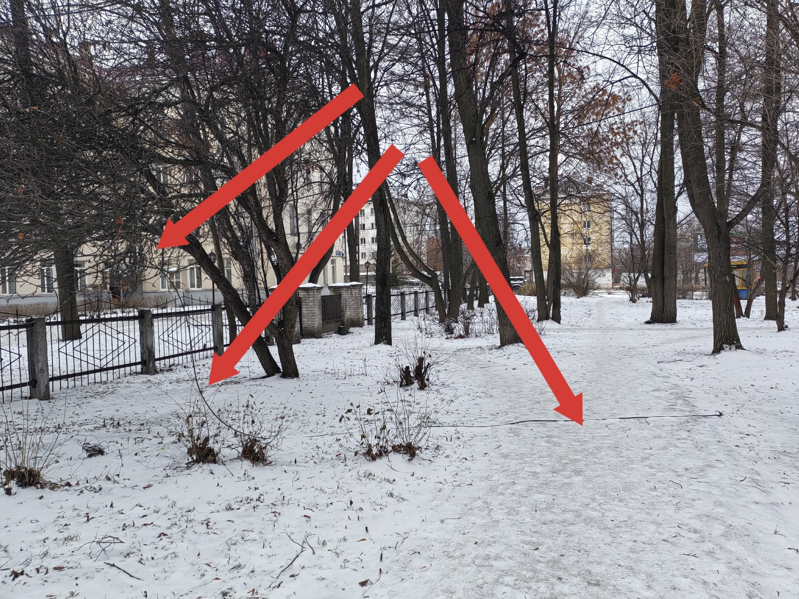 В Петрозаводске оборванный кабель свисает по дороге в детский сад