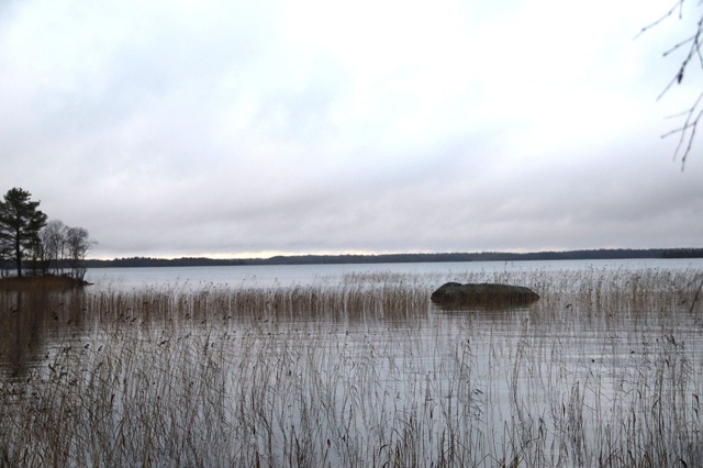 Беломорчане проголосовали против форелевого хозяйства на озере Шуезеро