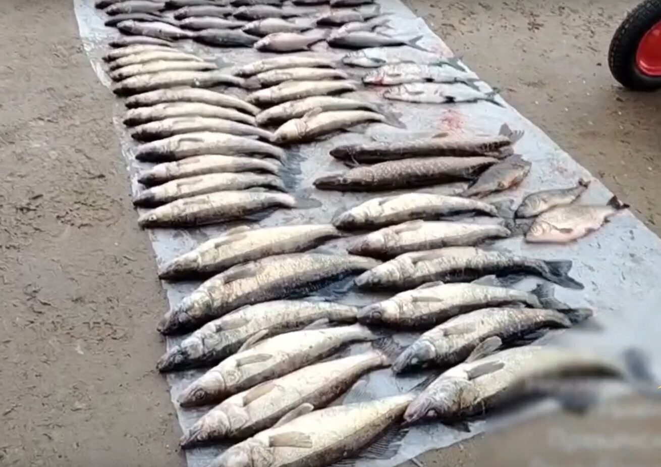 Браконьер-рыболов из Пряжинского района лишился не только сумасшедшего улова