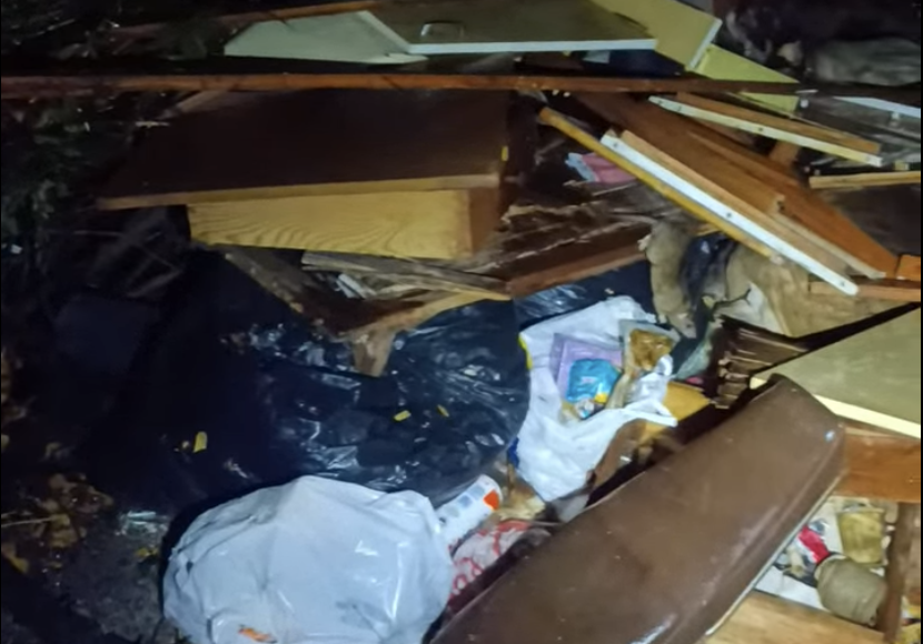 Петрозаводчанин показал видео крысиного королевства у консерватории