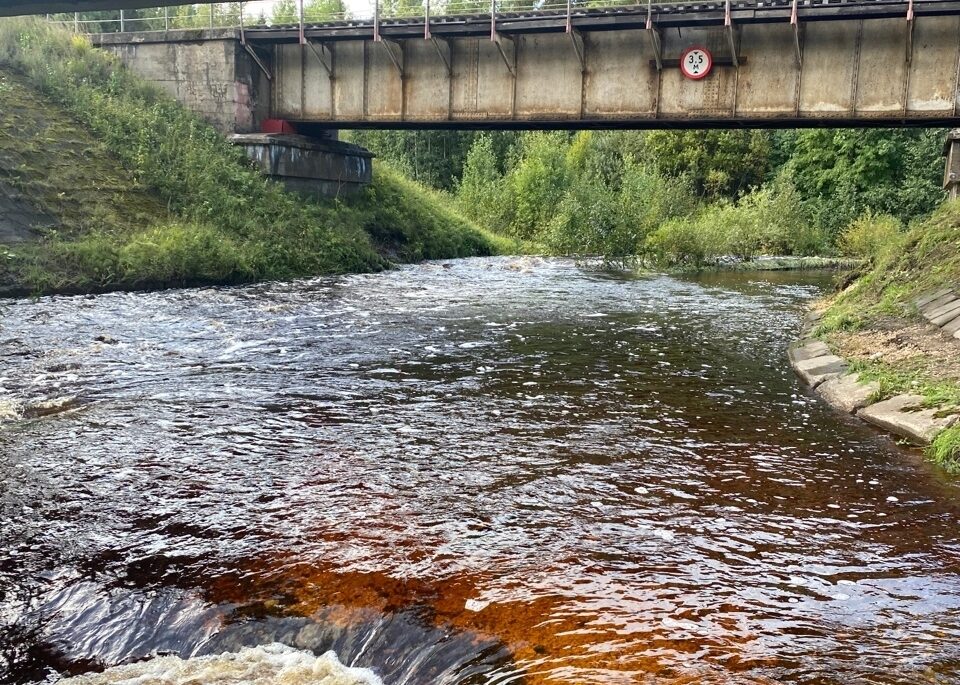 Минприроды Карелии рассказало о планах расчистки рек