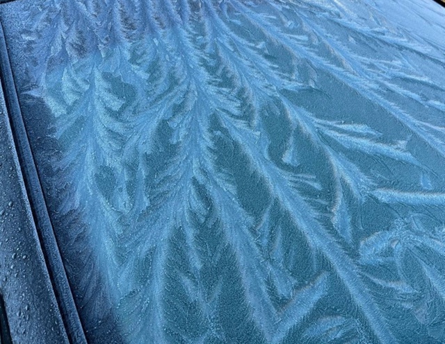 Дорожная полиция Петрозаводска обратилась  к водителям