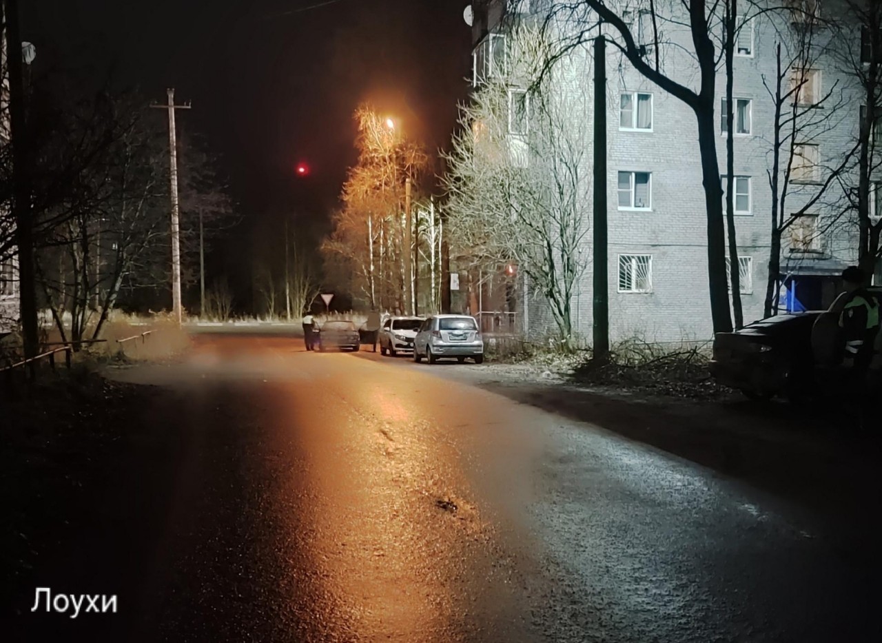 Пьяный водитель задавил нетрезвую женщину в поселке Лоухи