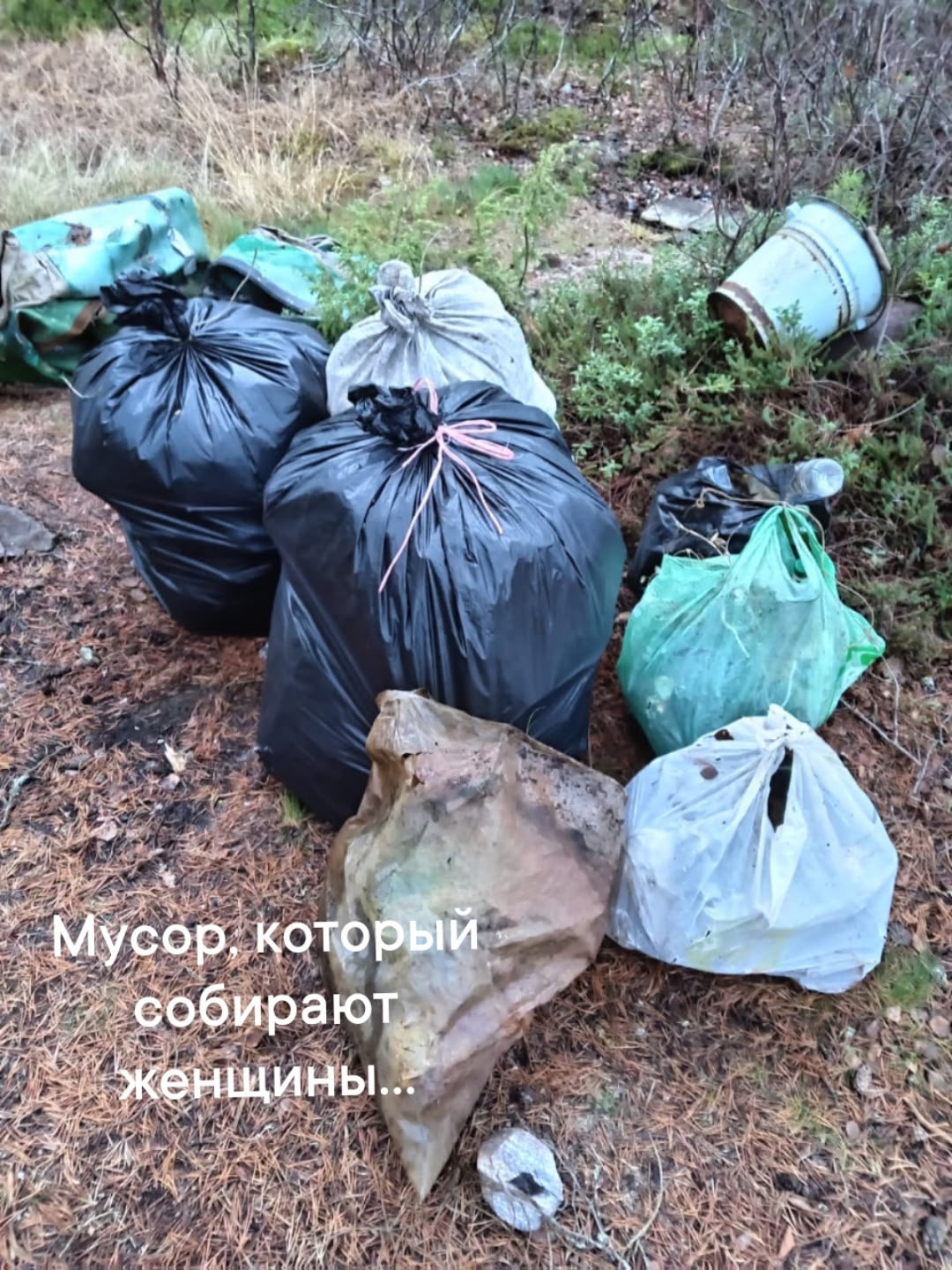 Жители карельского поселения активно борются с засорением лесных территорий