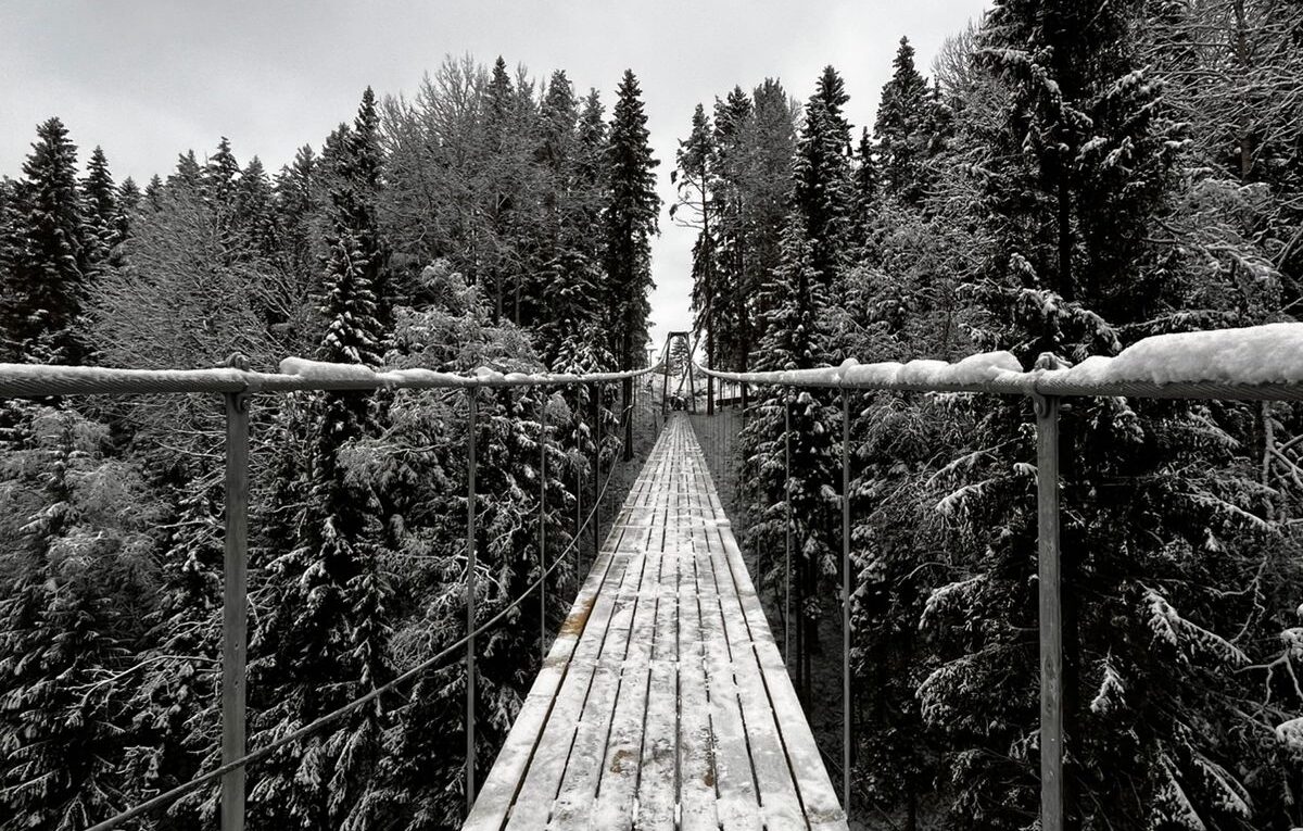 Строительство самого большого подвесного моста завершают в Карелии