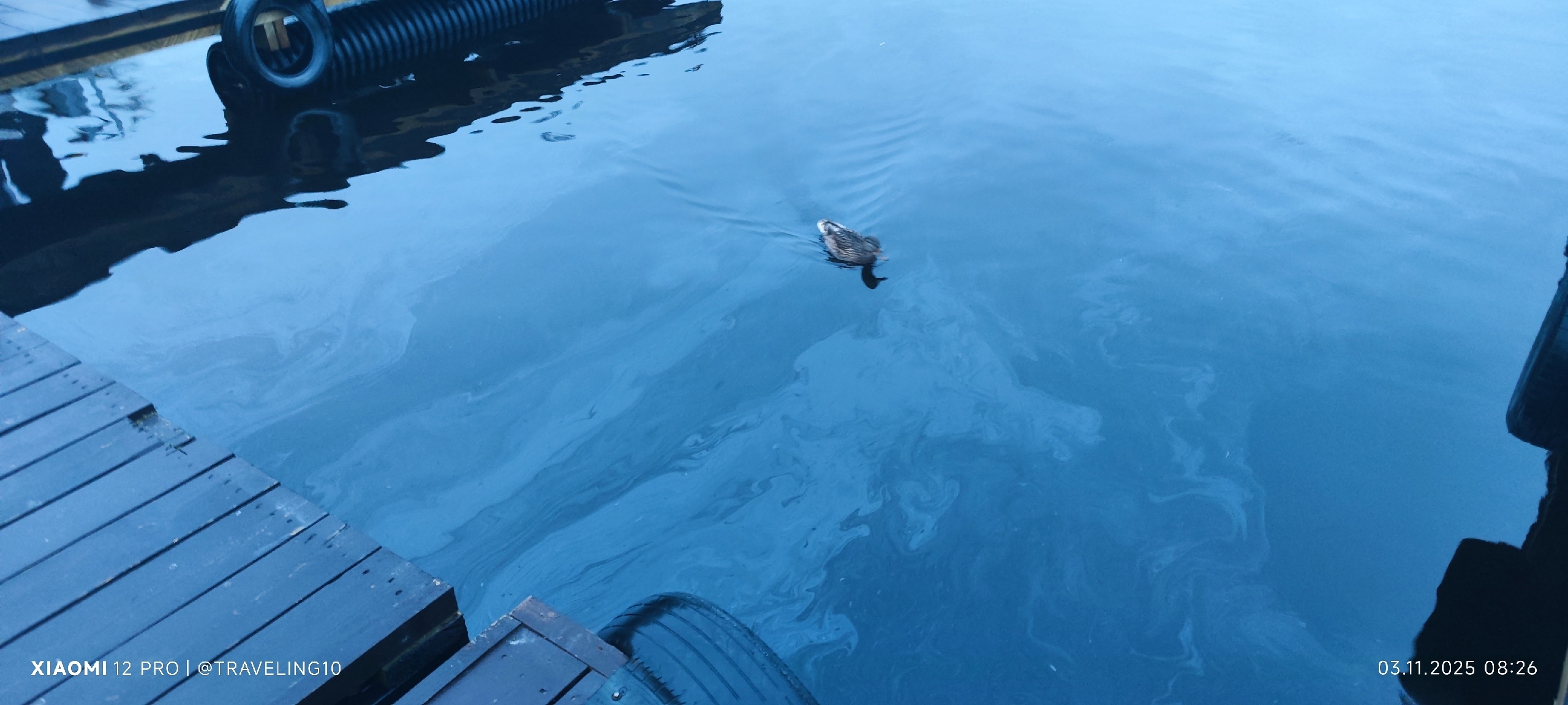 Ладога снова под угрозой: остатки плавкрана дали новую утечку топлива в заливе Якимвара