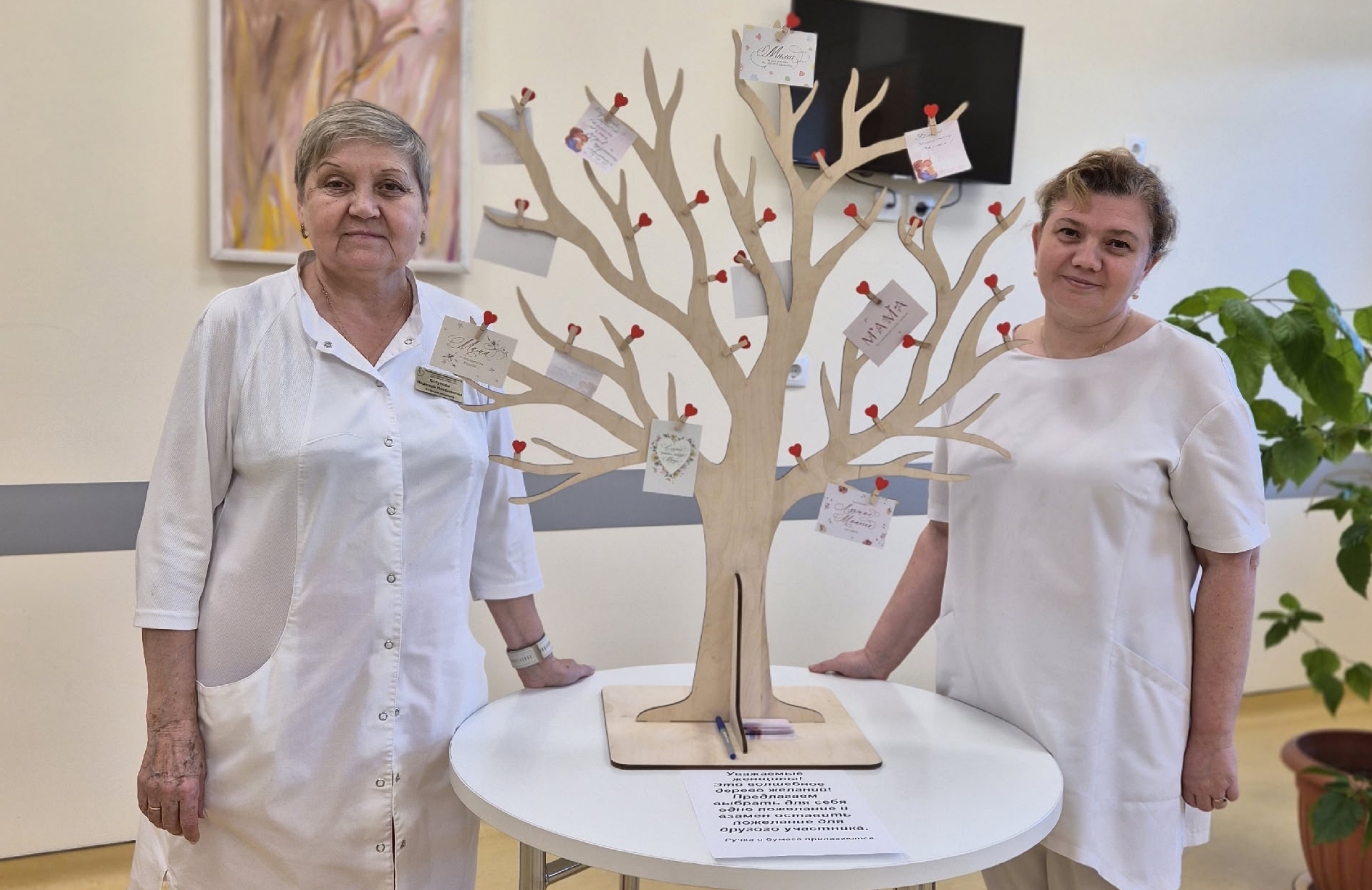 Волшебное дерево желаний появилось в карельском перинатальном центре в преддверии Дня матери