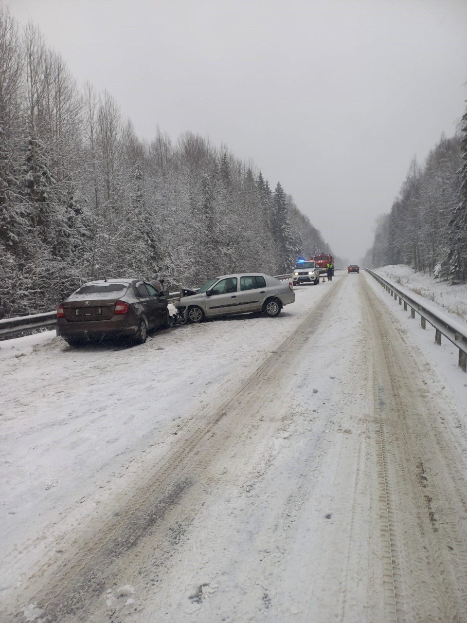 Четыре человека пострадали в лобовом столкновении в Пудожском районе - троих госпитализировали
