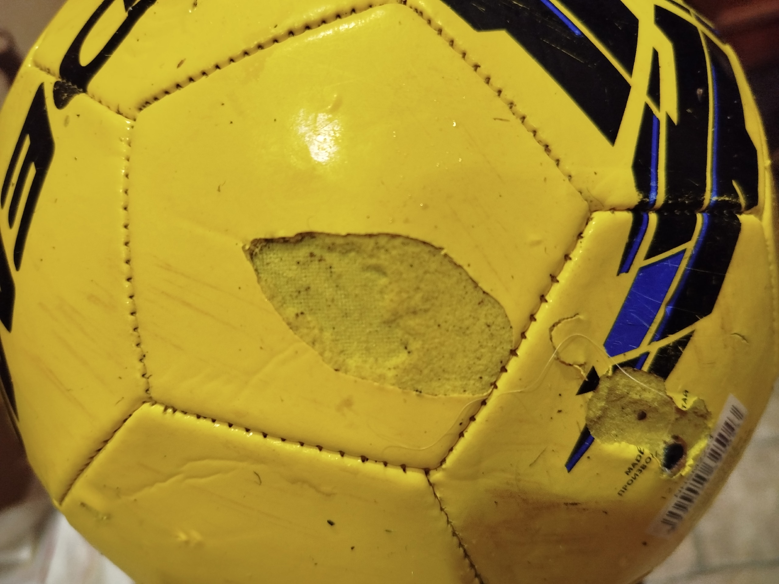 «Хорошо хоть детей не тронула»: собака, которую отпустила хозяйка, погрызла мяч футболистов в Петрозаводске