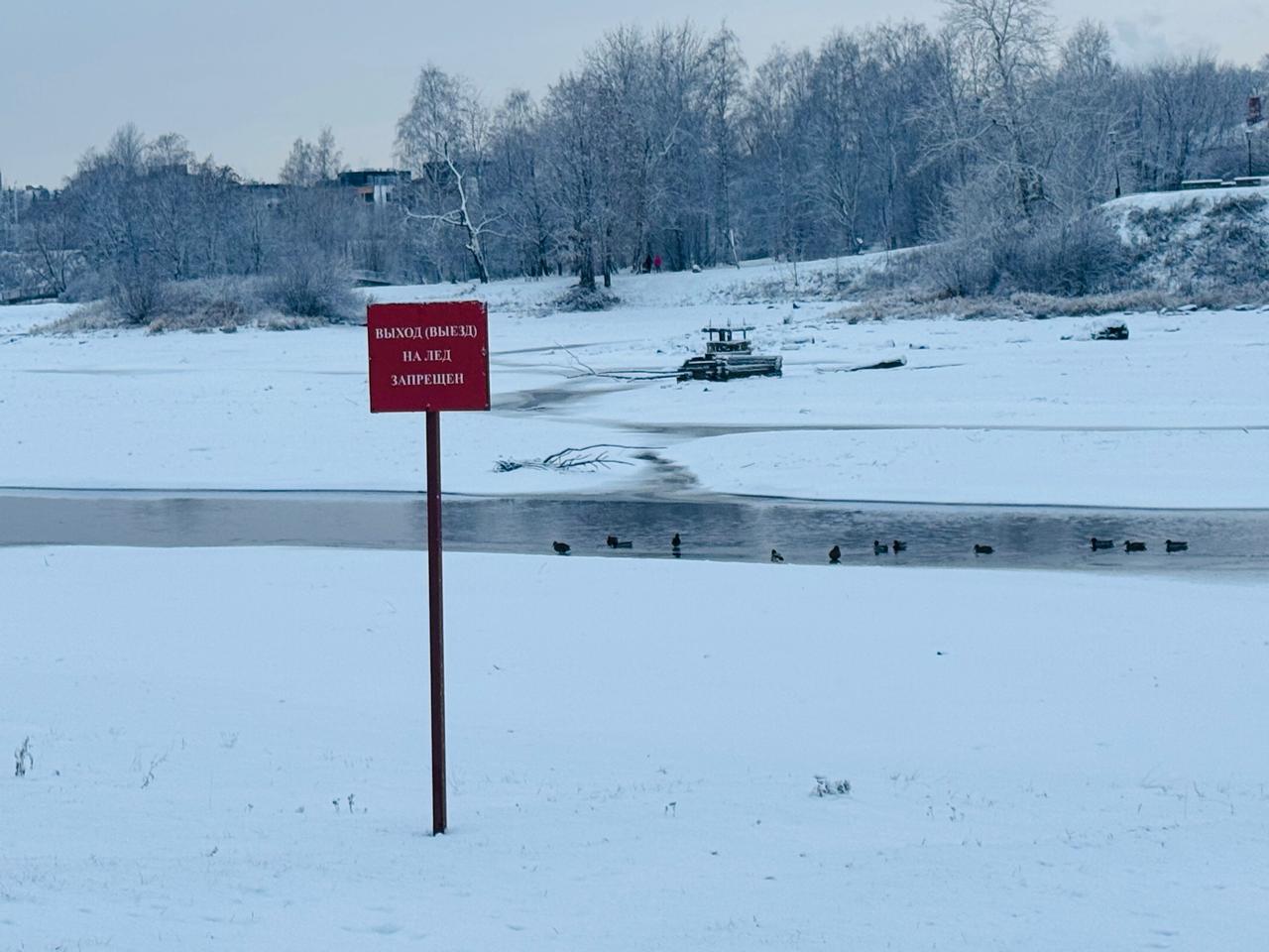 Жителям Карелии рассказали о фейковых и настоящих прогнозах погоды
