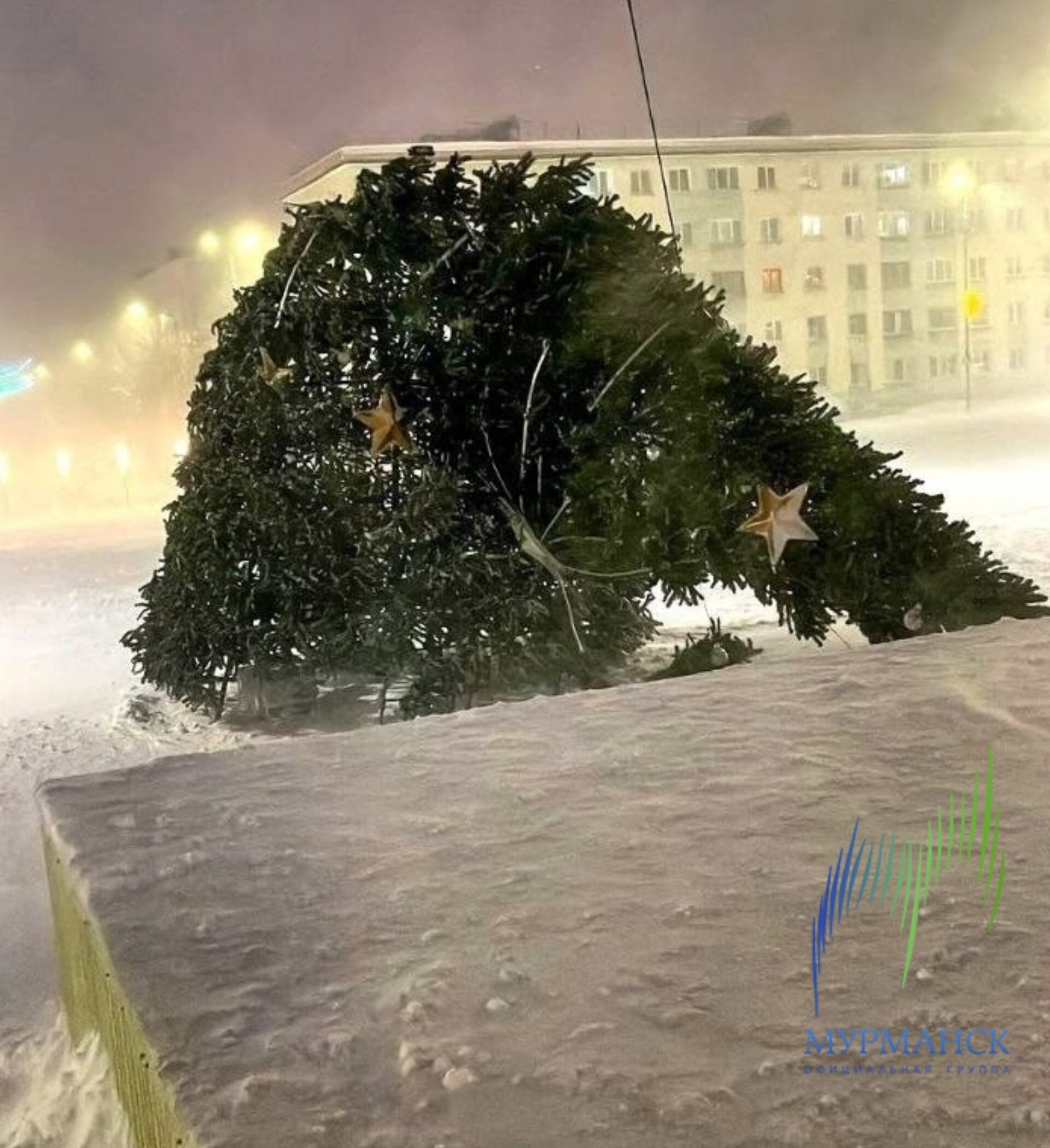 Ноябрьский ураган отменил преждевременные новогодние елки рядом с Карелией